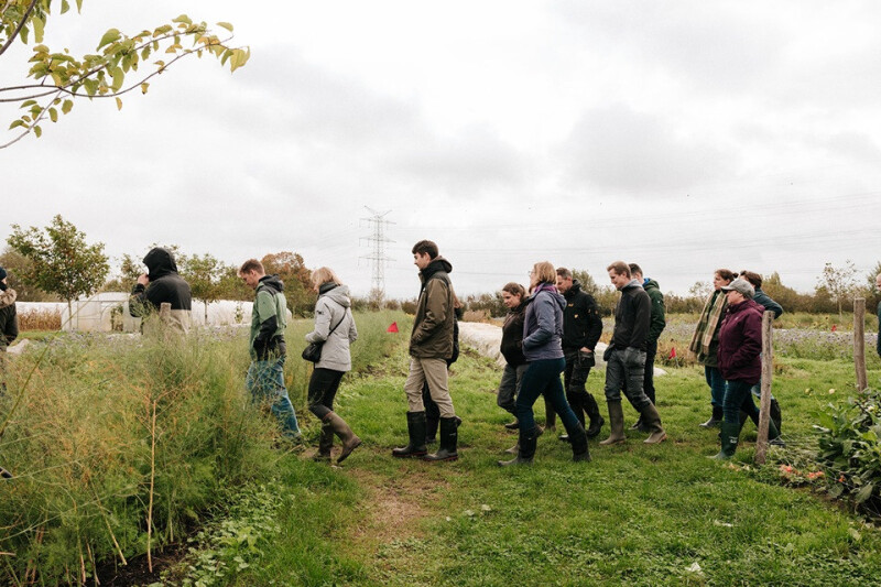 Teambuilding in het groen