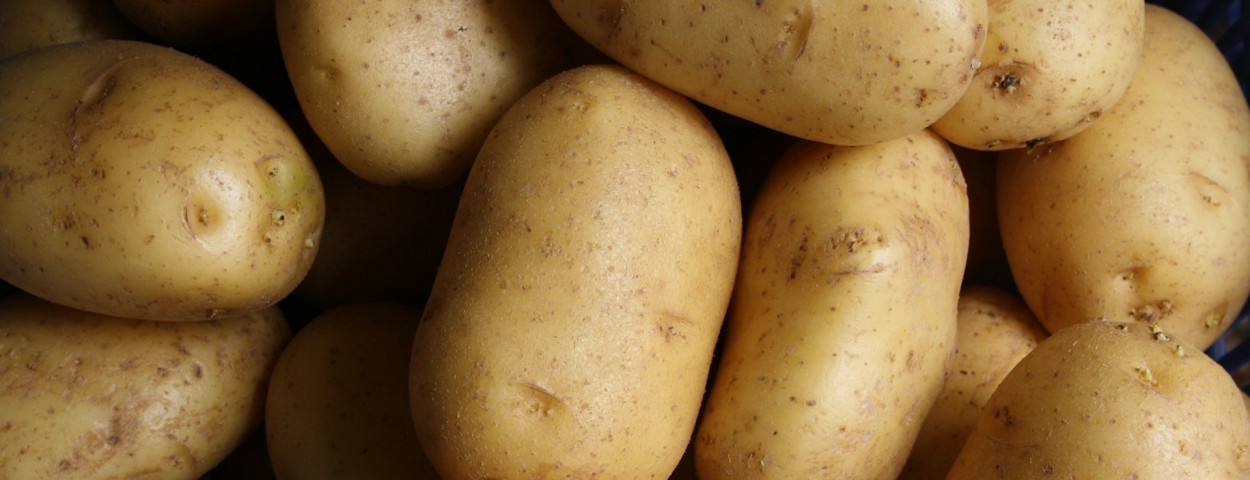 aardappel _unsplash