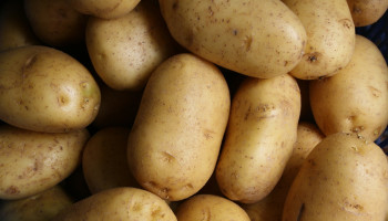 NEPG waarschuwt voor risico’s van toenemend aardappelareaal