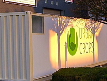 Urban Crops wil wereldwijd groenten telen in containers