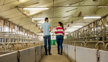 Kennisportefeuille uit startblokken: betalen voor advies blijkt struikelblok voor boeren