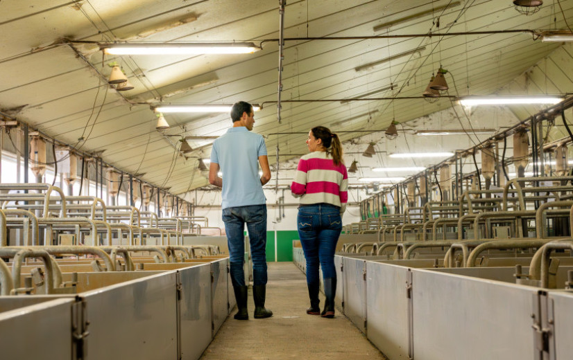 Kennisportefeuille uit startblokken: betalen voor advies blijkt struikelblok voor boeren