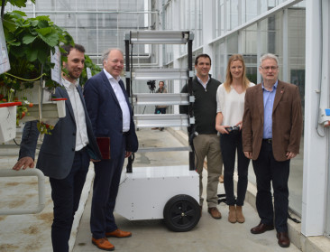 UV-robot bestrijdt witziekte bij aardbeien