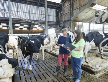 “Melkveehouders willen meer begeleiding bij het aanwerven van personeel”