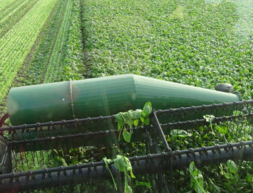 Provincie maakt uitbreiding van Noliko in Bree mogelijk