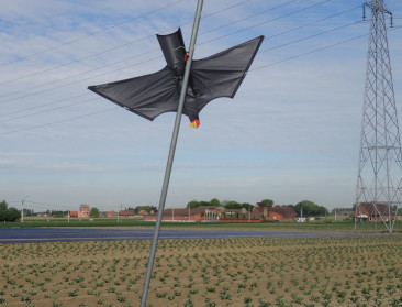 Milieubeweging koppelt Ventilus aan natuurverbinding