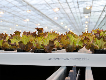 Voedselkilometers en voetafdruk geven onvolkomen beeld