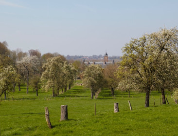 Geen UNESCO-erkenning voor hoogstamboomgaarden