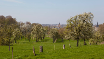 Geen UNESCO-erkenning voor hoogstamboomgaarden