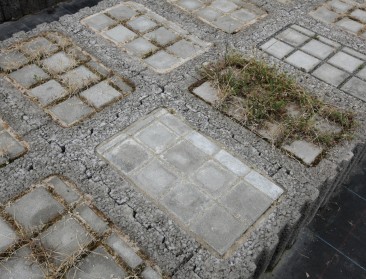 Hoe verantwoord is huis- en tuingebruik van pesticiden?