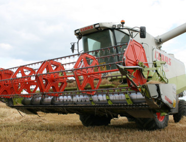 Een droog jaar blijkt andermaal een goed graanjaar
