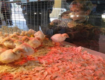 Open Bedrijvendag: ook in de agrovoedingssector