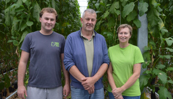 “Hele jaar Stratego spelen”: Auberginetelers gebruiken leger aan insecten tegen ziektes en plagen