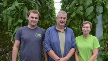 “Hele jaar stratego spelen”: Auberginetelers gebruiken leger aan insecten tegen ziektes en plagen
