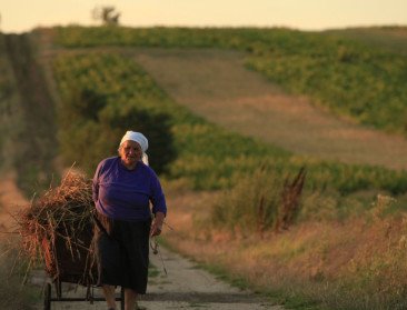 Bulgarije boekt vooruitgang met GLB-standpunt lidstaten