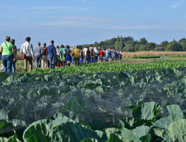 Boerencollectief gaat van start op OCMW-grond in Afsnee