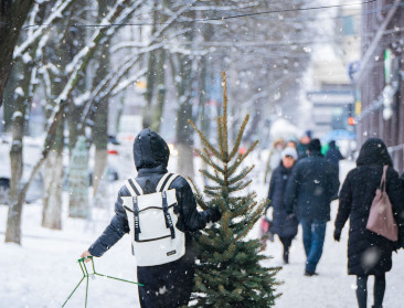 Gents kerstboomadvies gaat de wereld rond, maar wordt weggelachen