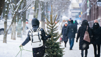 Gents kerstboomadvies gaat de wereld rond, maar wordt weggelachen