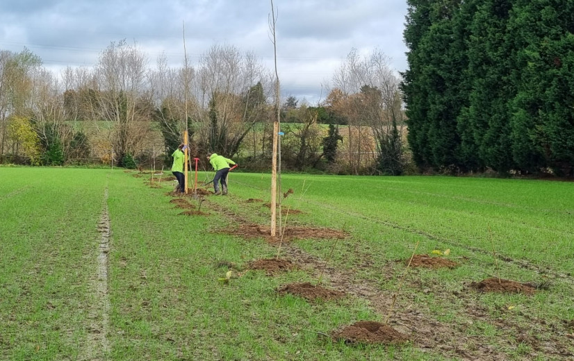 Deze winter 20 extra boeren die aan agroforestry gaan doen