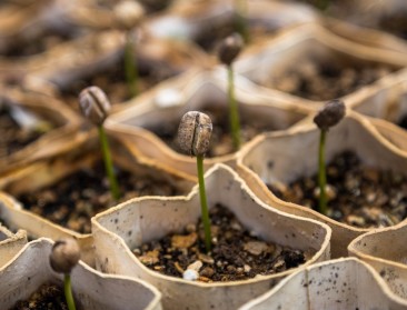 Levert landbouw een positieve bijdrage aan de economie?