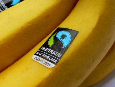 "Fair trade sust vooral geweten van rijke landen"