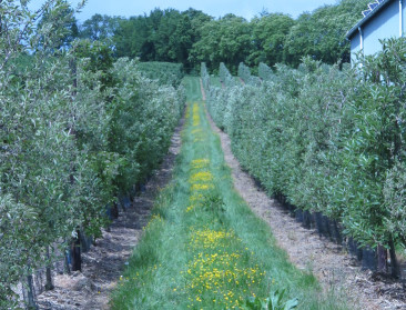 Eerste Interreg-projecten Vlaanderen-Nederland starten