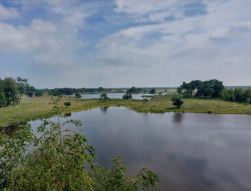 Geen zesde maatwerkgebied stikstof in Hoogstraten