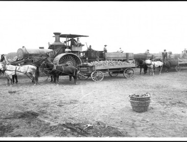 Tiense suiker en de IJzerenweg