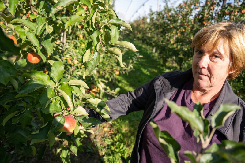 Ann De Ryck in boomgaard