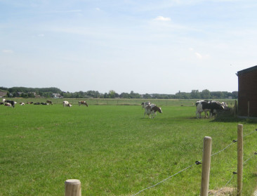 "Zonder contracten blijven wij geen melkveehouder"