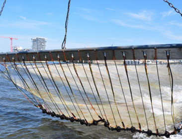 Hoe Nederland sjoemelde om meer pulsvisvergunningen binnen te rijven