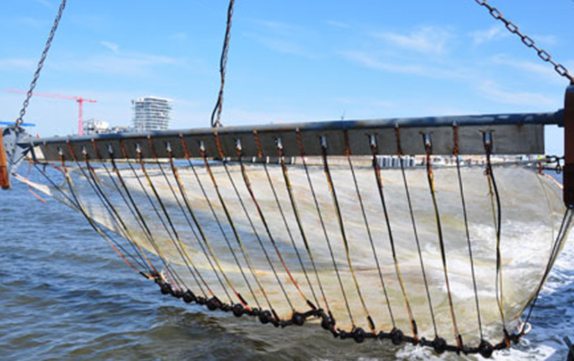Hoe Nederland sjoemelde om meer pulsvisvergunningen binnen te rijven