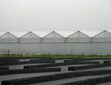 "Geloof in sierteeltsector is sterk"