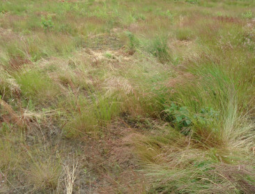 Geen garantie grondeigenaar geen tijdelijke natuur?