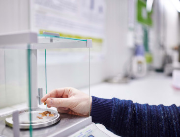 Inagro's innovaties in insectenkweek krijgen Europese erkenning