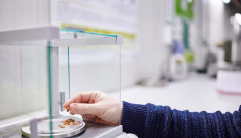 Inagro's innovaties in insectenkweek krijgen Europese erkenning