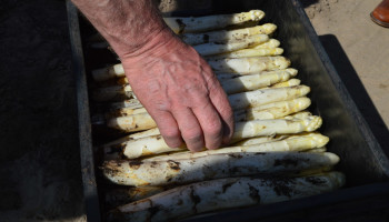 #Coronacreativiteit: Gratis asperges voor zorgwerkers