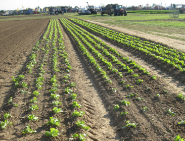 Benchmark maakt Vegaplan internationaal geloofwaardig
