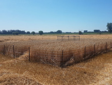 Beluister de passie van boeren en natuurbeschermers