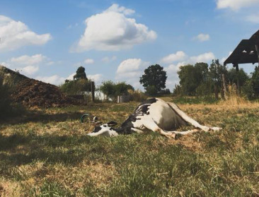 Harde foto eyeopener voor zwerfvuilproblematiek