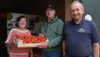 Aardbeidorp Landegem neemt afscheid van zijn laatste vollegrondstelers