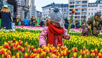 Sierteeltseizoen geopend met 100.000 tulpen en de nodige kopzorgen over afzet