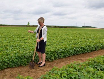 Alpro en AVEVE maken van lokale soja een realiteit