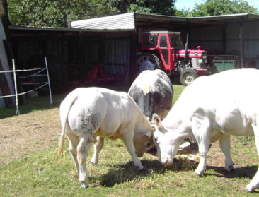 Word Boerenfan en steun boeren in moeilijkheden