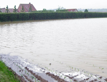 EEA: "Extremer weer niet meer tegen te houden"