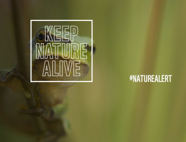 Half miljoen burgers roept EU op natuur te beschermen