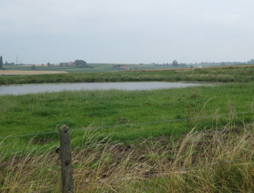 Definitieve landbouwcijfers per gemeente