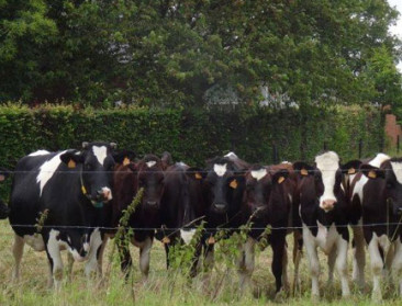 Ruime franchise compenseert bittere pil superheffing