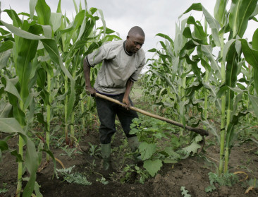 Afrikaans-Europese alliantie verstevigt samenwerking