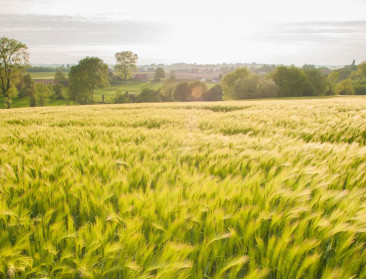 "Landbouwbeleid nodig dat boer én milieu beschermt"